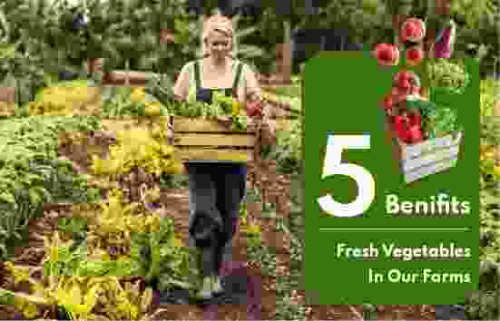 oxygenplanters.com