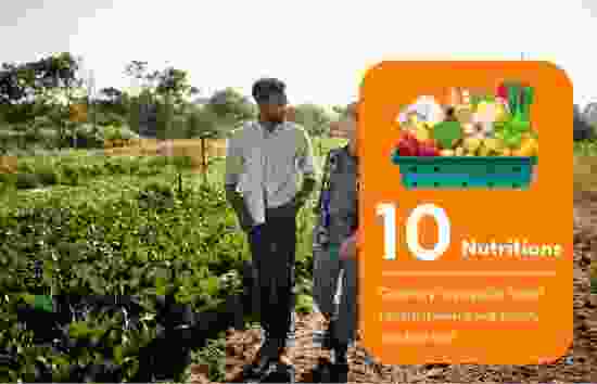 oxygenplanters.com