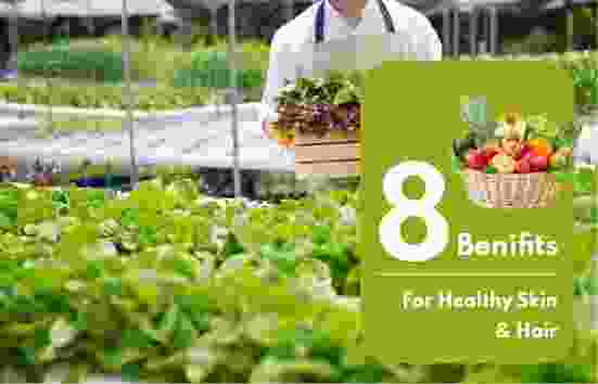 oxygenplanters.com